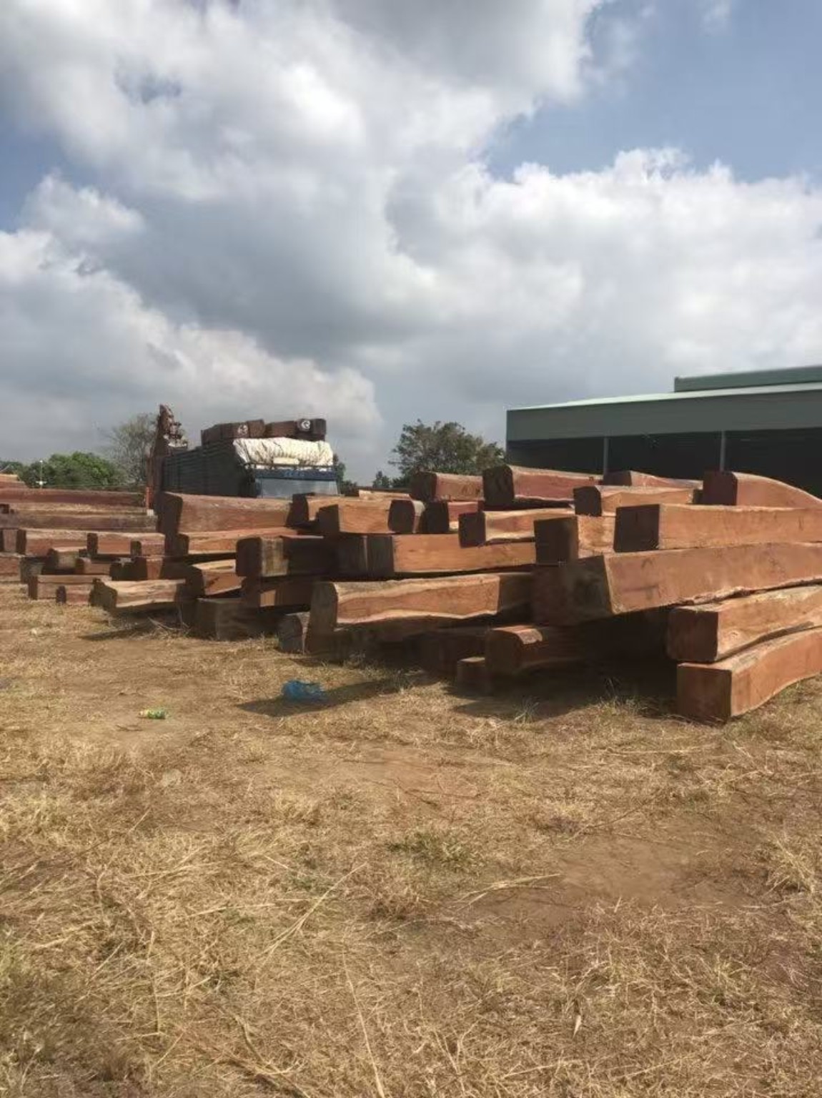 Container yard and export preparation for hardwood shipment