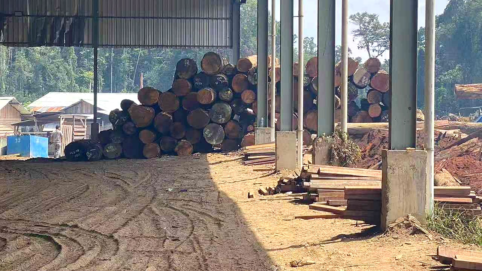 Processing proof image for TDA Timber